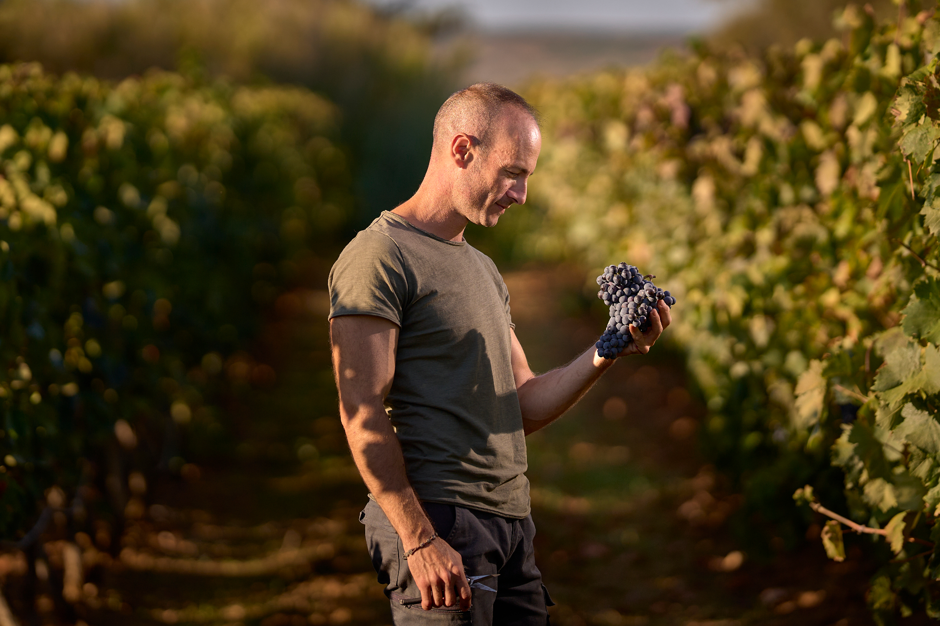 Cristian con grappoli d'uva