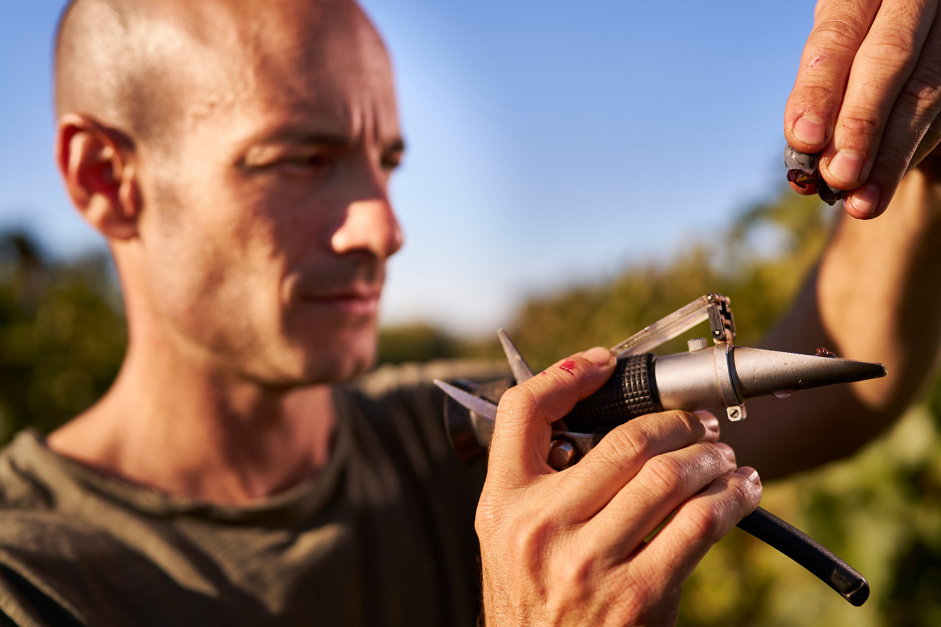 Rifrattometro - controllo qualità